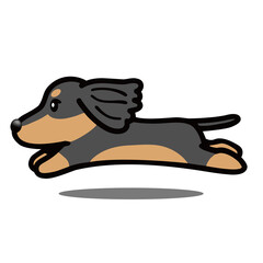 ミニチュアダックスフンド 走る
