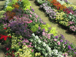 色とりどりのたくさんの花々が美しく咲き誇った春の花壇