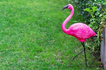 Fotobehang Pink flamingo yard decor © Katie Chizhevskaya