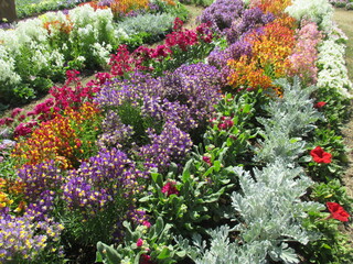 色とりどりのたくさんの花々が美しく咲き誇った春の花壇