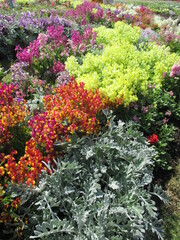 色とりどりのたくさんの花々が美しく咲き誇った春の花壇
