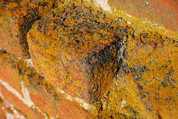 Close-up of an old red-brown stone wall with yellow moss