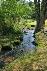 Petit ruisseau.