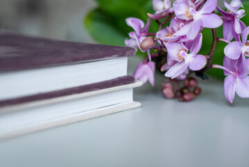 album-book with heavy pages in a white-pink cloth cover with an orchid on the table