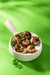 Bourgogne Escargot Snails with garlic herbs butter in ceramics pan on green background with copy space. High view shot with gobo shadows