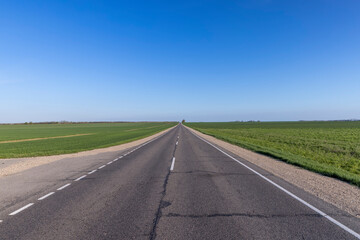 an asphalt road along which green plants