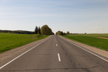 an asphalt road along which green plants