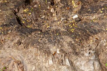 an old wooden surface with a number of damages