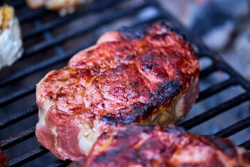 various pieces of grilled meat, grilled food.
