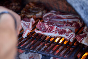 various pieces of grilled meat, grilled food.