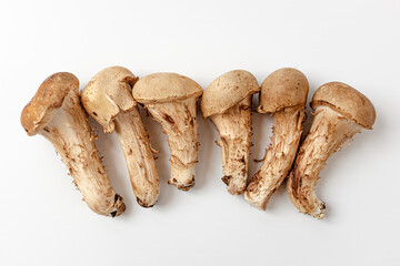 matsutake mushroom on a white background