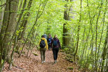 hiking in the forest