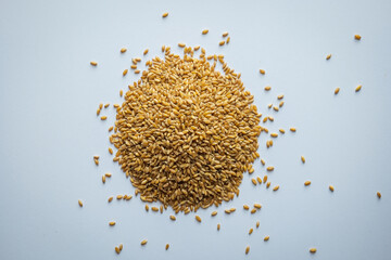wheat grain pile on white background overhead view