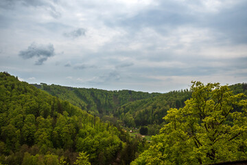 Fototapeta na wymiar clouds over forest