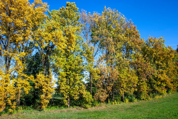 changes in nature during the autumn season