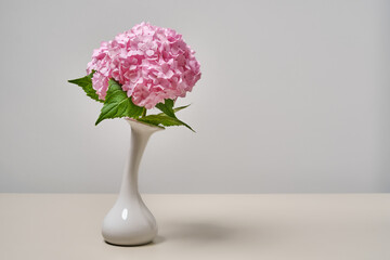 Beautiful spring bouquet of pink hortensia flowers. Hydrangea flowers in vase on table against...