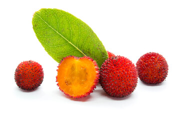 Arbutus unedo fruits and leaves isolated on a white background