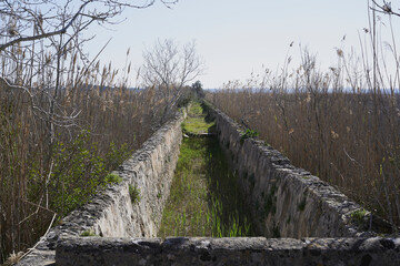 Old ditch in the Natural Park of s'Albufera. Wall, Majorca