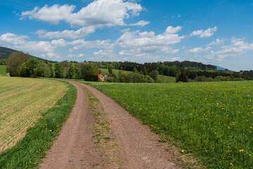 Fototapeta na wymiar Beautiful Czech landscape near Krkonose with hills, meadows and forests