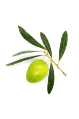 Olive with leaves isolated on white background