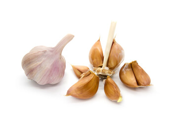 Raw garlic with segment isolated on white background