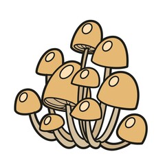 Poisonous toadstool mushrooms color variation for coloring page isolated on white background