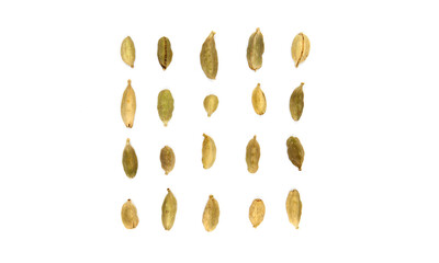  Square cardamon seeds composition on white background
