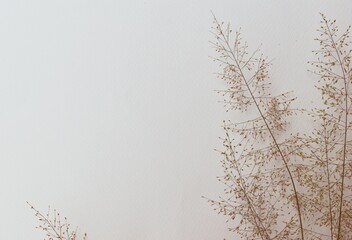 natural grass flower branches on abstract beige paper sheet background