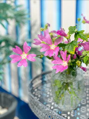 Beautiful pink flowers