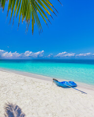 Maldives island beach with blue kayak on shore. Tropical landscape of summer, white sand with palm...