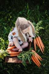 cute baby boy in a long ears knitted bunny hat with carrots in a garden
- 506623108