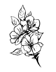 black outline of a bouquet of flowers on a white background