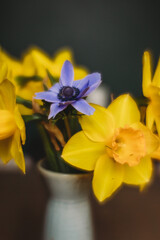 yellow daffodils in a blue vase