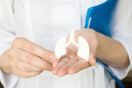 World no tobacco day. World Pneumonia Day. World tuberculosis day, copd. Young female doctor holds lung.