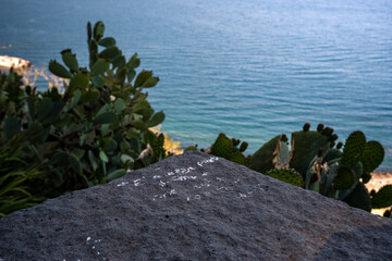 lava stone in a path by the sea