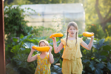 Cute funny cheerful european girls sisters with zucchini. Children with yellow zucchini in backyard...