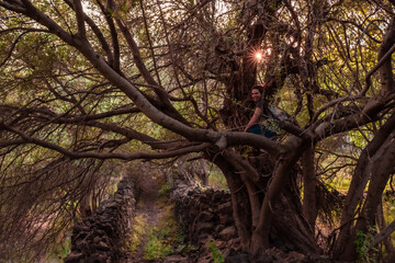 girl in a century-old tree on the ancient path