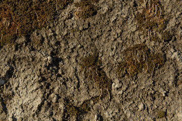 stone wall texture
