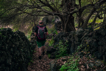 explorer on an ancient forest path