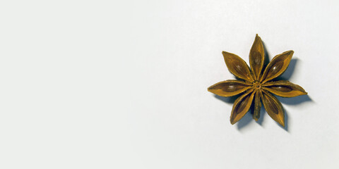 star anise fruit with grains. star anise lies on a light background. Banner for insertion into site. Place for text cope space. Horizontal image.