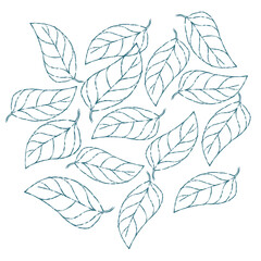 hand drawn sketch of leaves