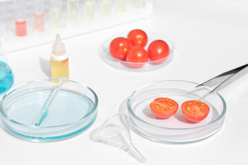 tomatoes in a petri dish on a laboratory table. lab glassware, test tubes and chemical substances for testing food quality. research and microbiology inspection.