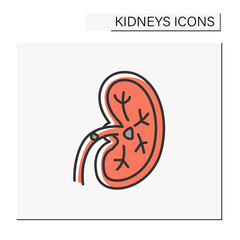 Kidney color icon. Unhealthy internal organ.Kidney stones. Renal calculi, nephrolithiasis or urolithiasis. Healthcare concept.Isolated vector illustration