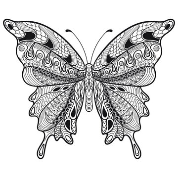 Beautiful butterfly coloring book pages and hand drawings for adults and children in zentangle style for t-shirt design or tattoo.