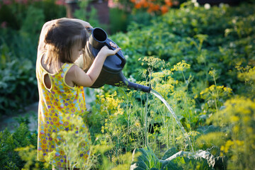 cute kid girl with big watering can waters beds in garden in summer, helping children in garden and...