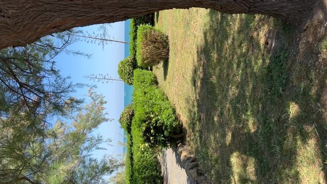 View of the sea through trees in Anzio, Italy. Vertical video