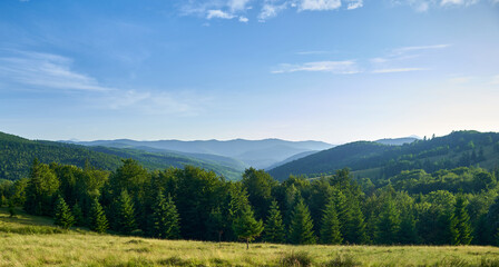Fototapeta na wymiar Forest landscape in mountains with meadow