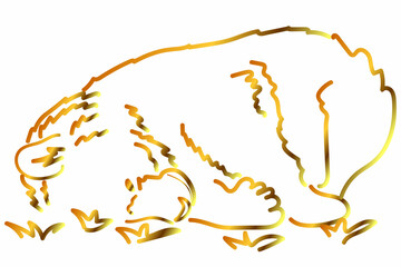  Gold bear