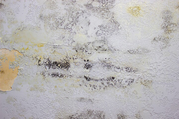 black mold on the wall. Fungus on the wall after the flooding of the house.