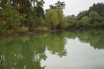 reflection of trees in the water